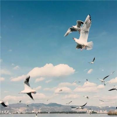 江南体育app下载方式